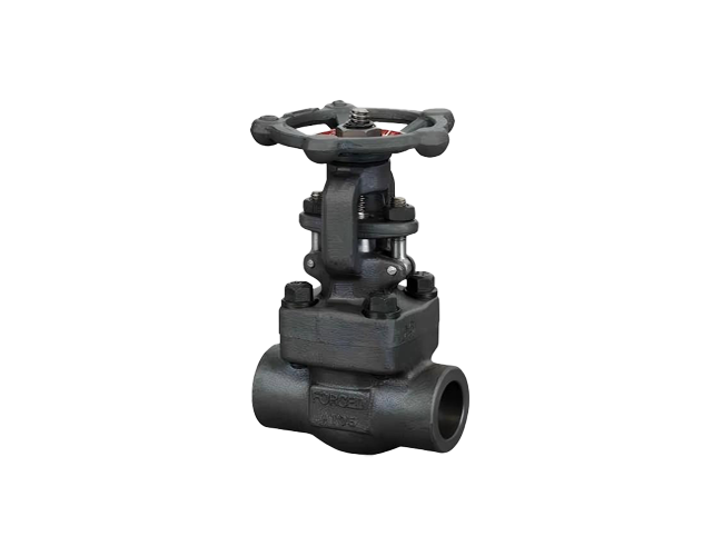 Forged Steel Gate Valve