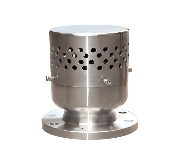 Vacuum Negative - pressure Safety Valve