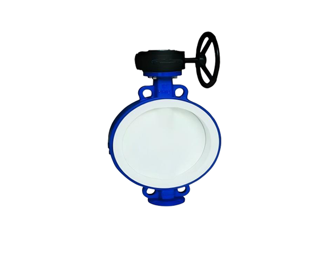 Fully lined PTFE wafer-type worm gear butterfly valve