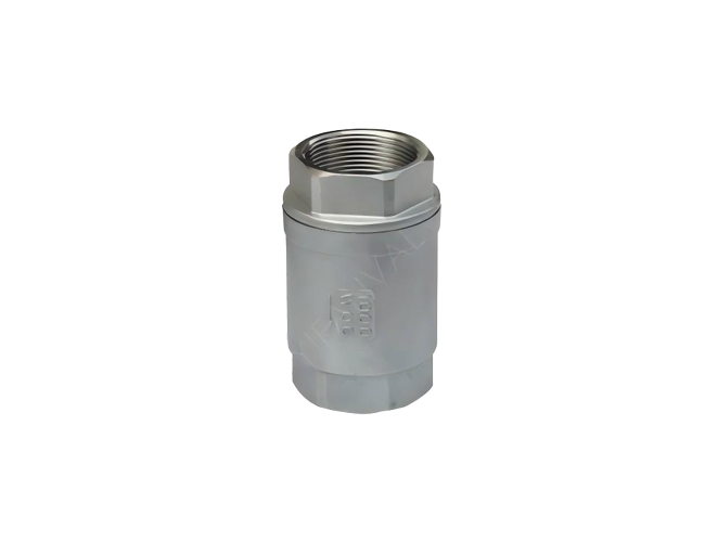 Vertical Spring Check Valve with Female Thread