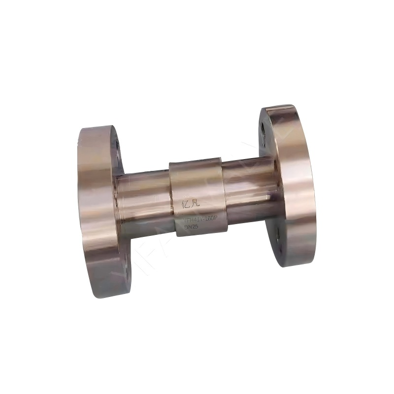 Straight-through Flange Check Valve